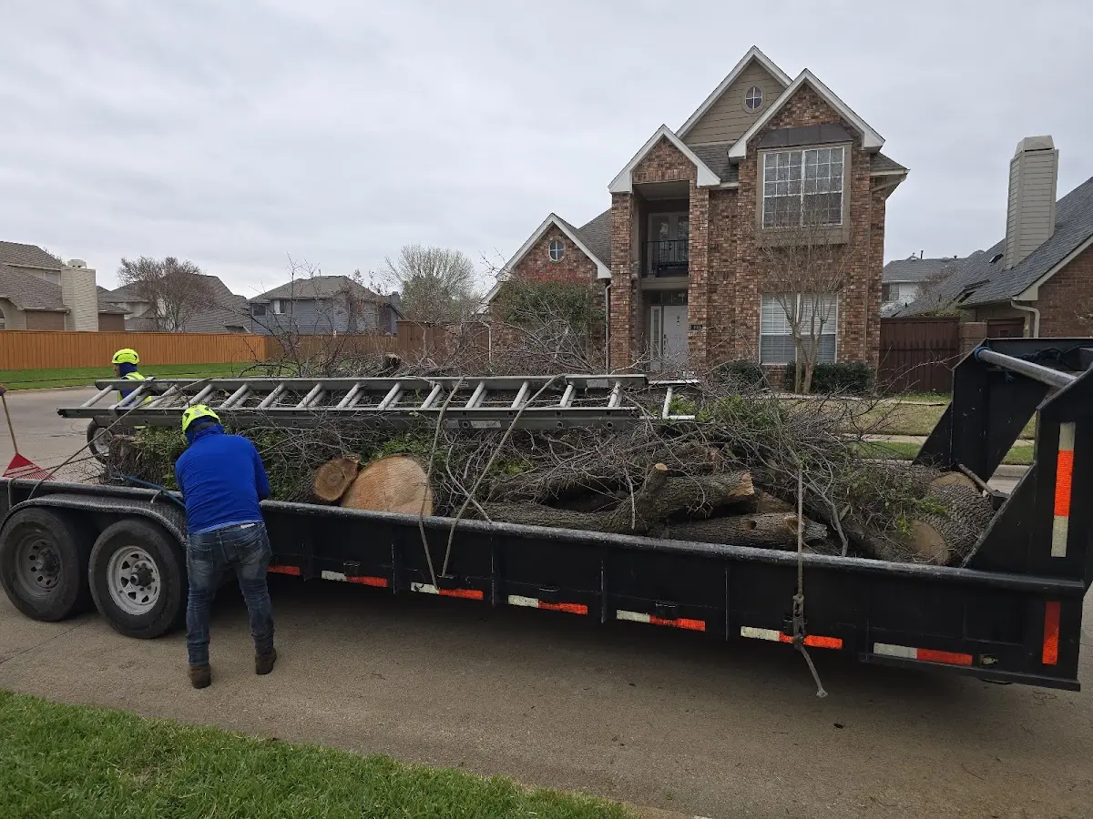 Expert Tree Fertilization with proper safety equipment in Anniston